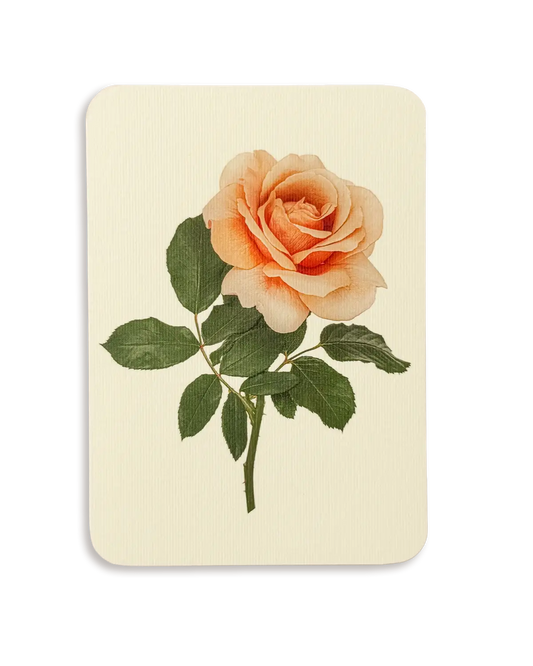 Dusky Rose Greeting Card