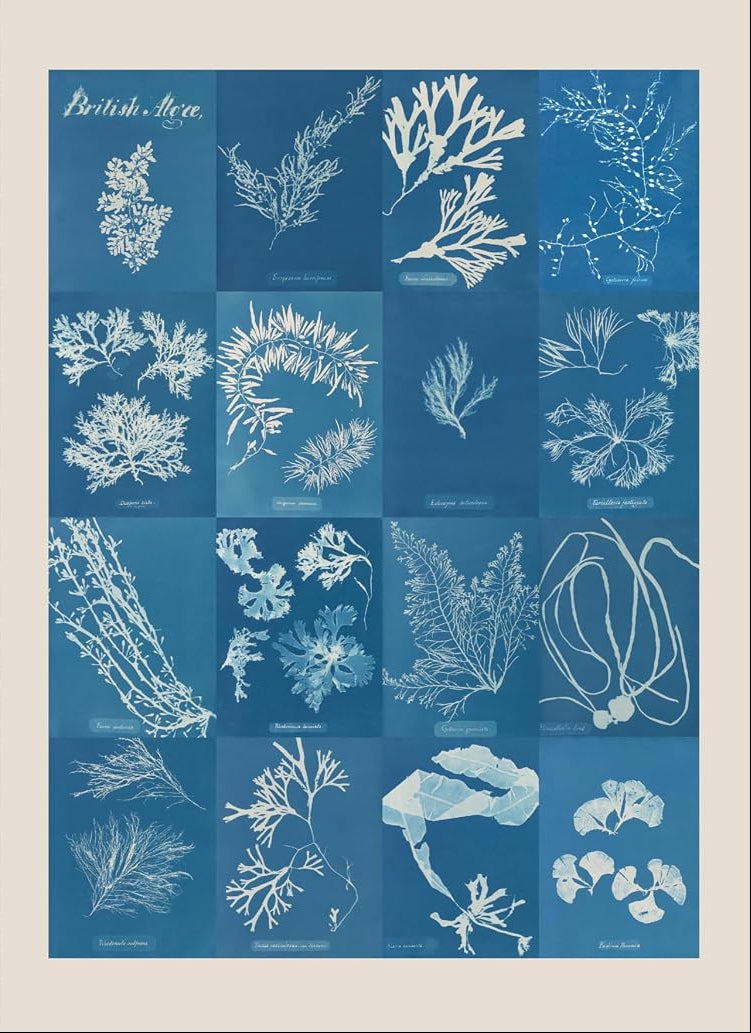The Collage Compendium