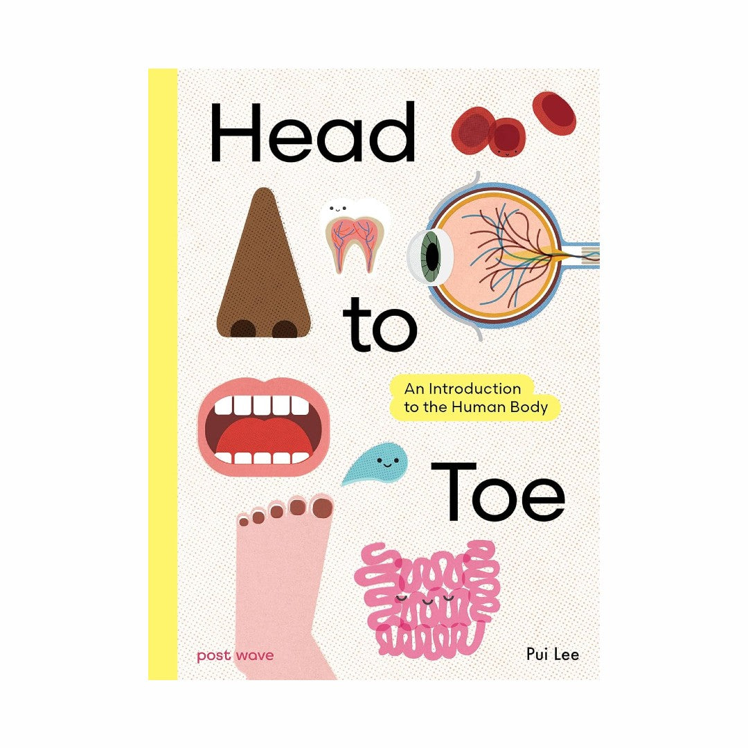 Head To Toe: An Introduction to the Human Body