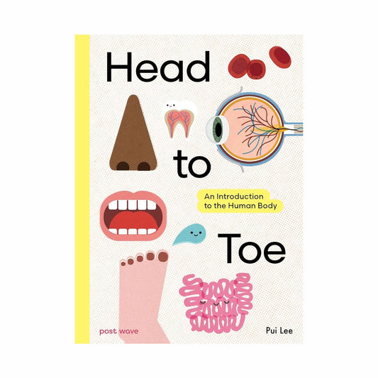 Head To Toe: An Introduction to the Human Body