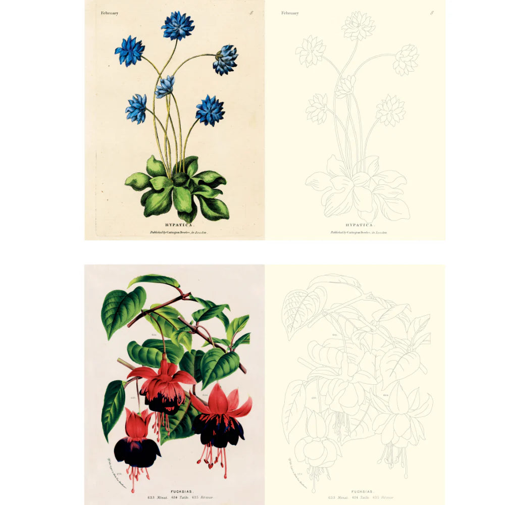 John Derian Colouring Book: Flowers