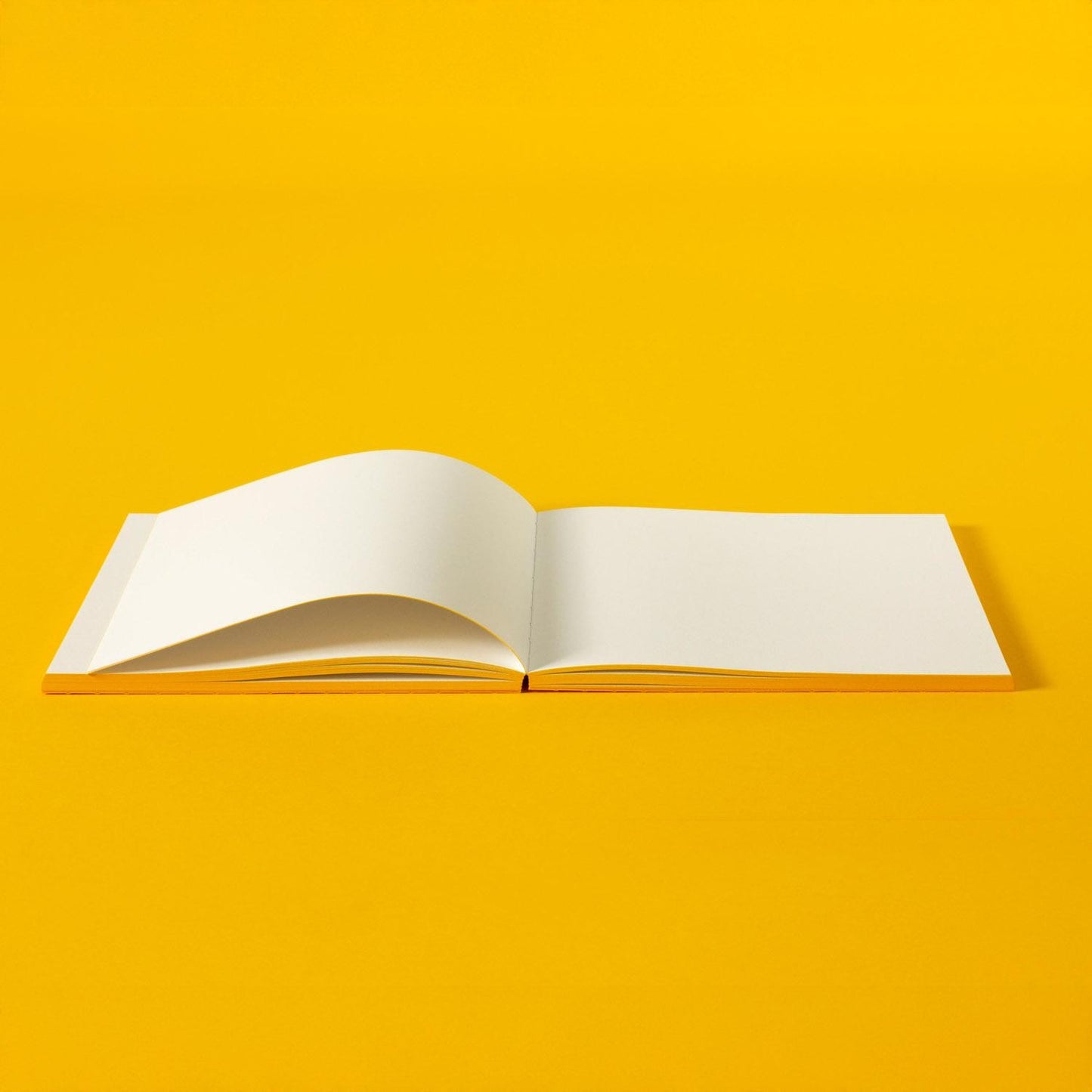 Martina Pumpkin Notebook