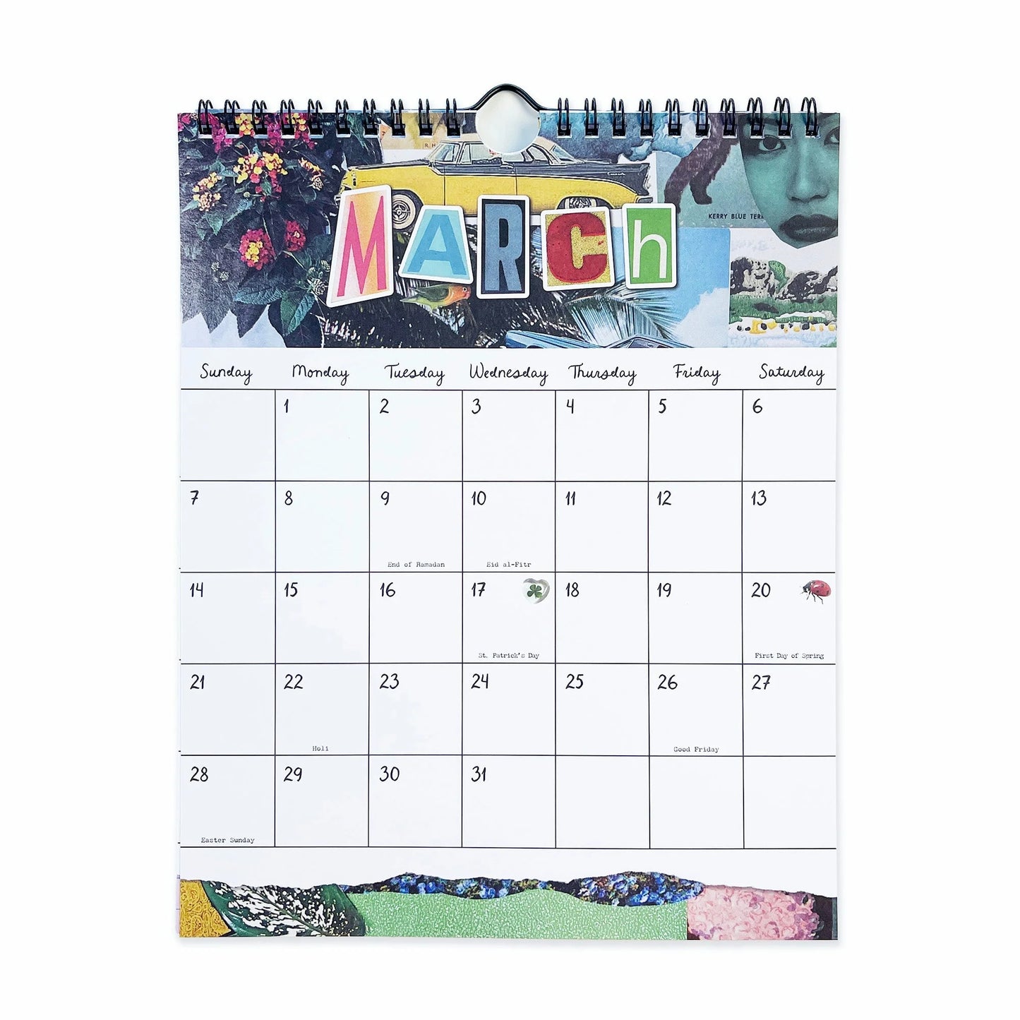 Pipsticks x Haricot Vert Dreamworld 2027 Wall Calendar