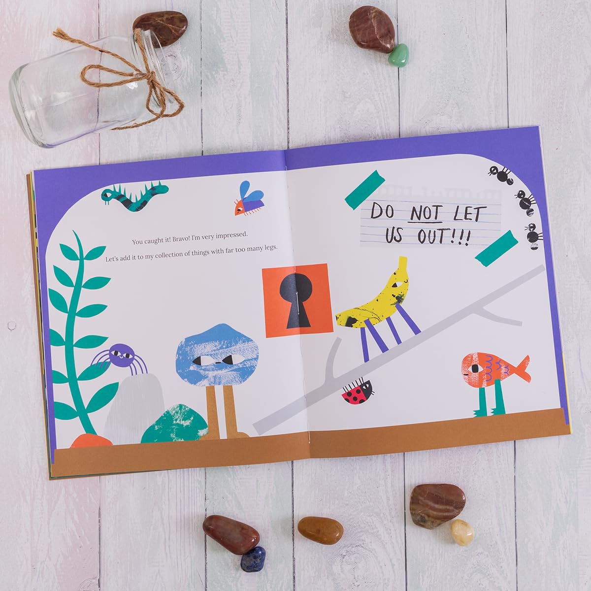 These Are My Rocks : A Story About Collecting